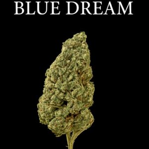 Blue Dream