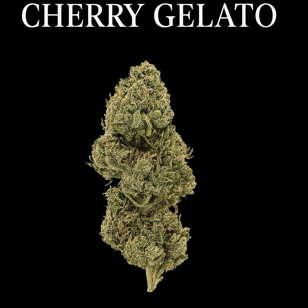 Cherry Gelato '23