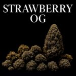 Strawberry OG