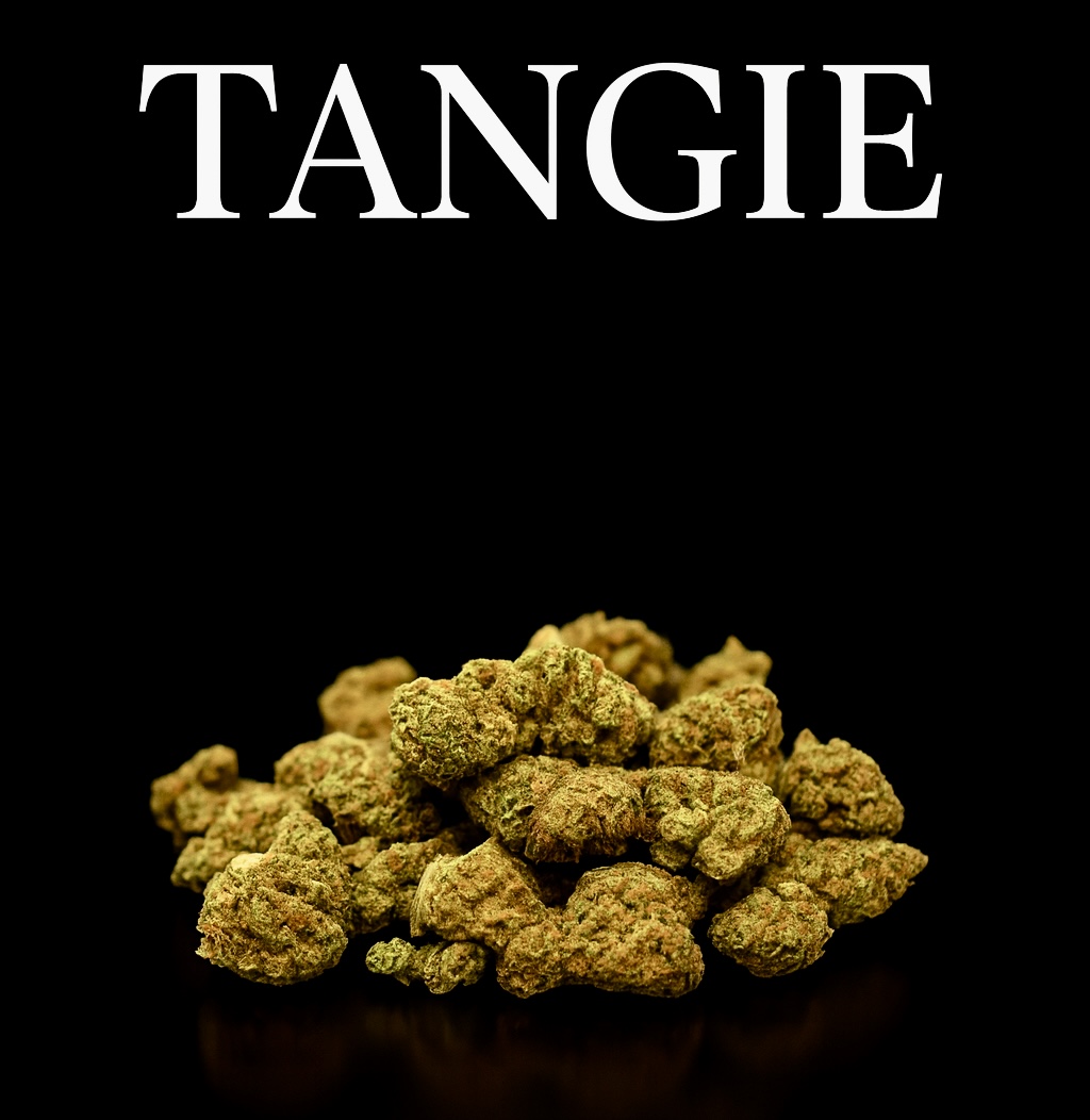 Tangie '23