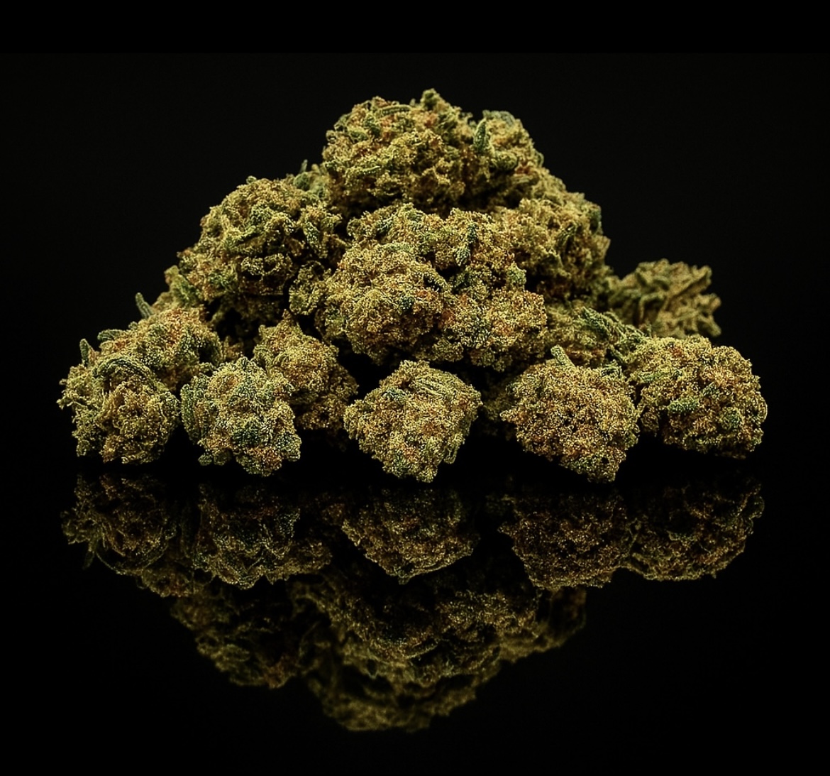 Mini Buds G13