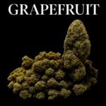 Grapefruit
